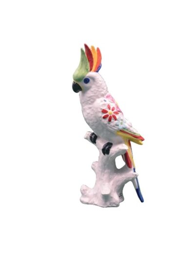 pp01