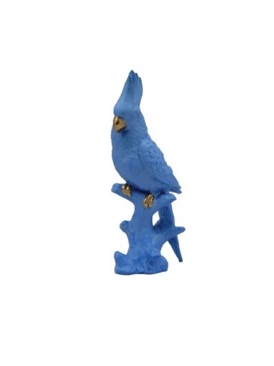 pp21