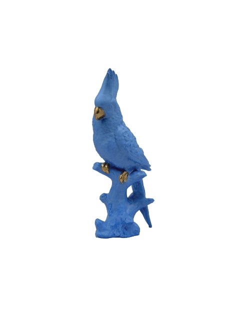 pp21