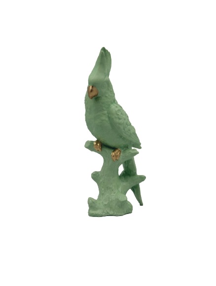 pp22